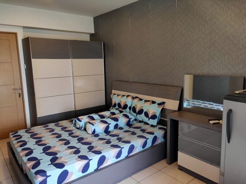 Educity Stanford 1915